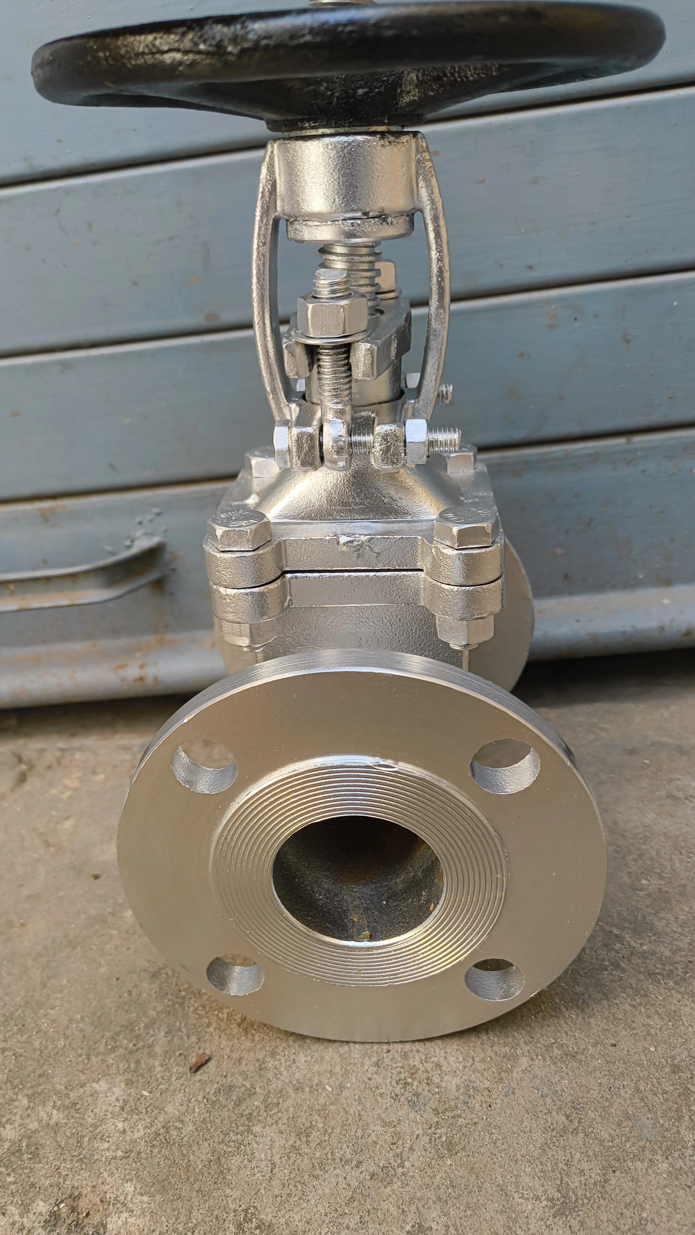 Y-Strainer photo 17